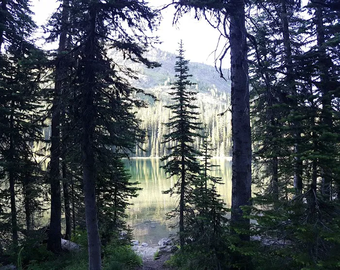 Moose Lake Campground Picture 2