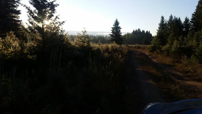 Round Prairie Campground Picture 4