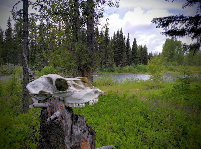 Round Prairie Campground Picture 6