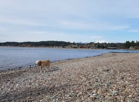 Wayfarers Campground