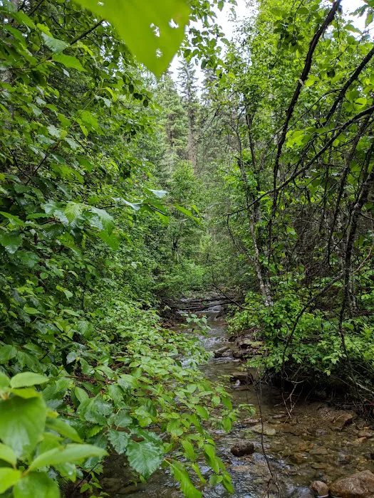 DORIS CREEK CAMPGROUND Picture 1