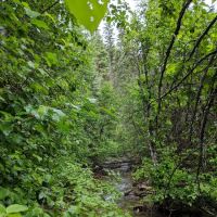 DORIS CREEK CAMPGROUND ico