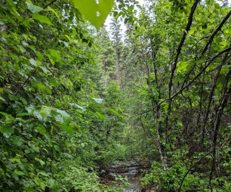 DORIS CREEK CAMPGROUND