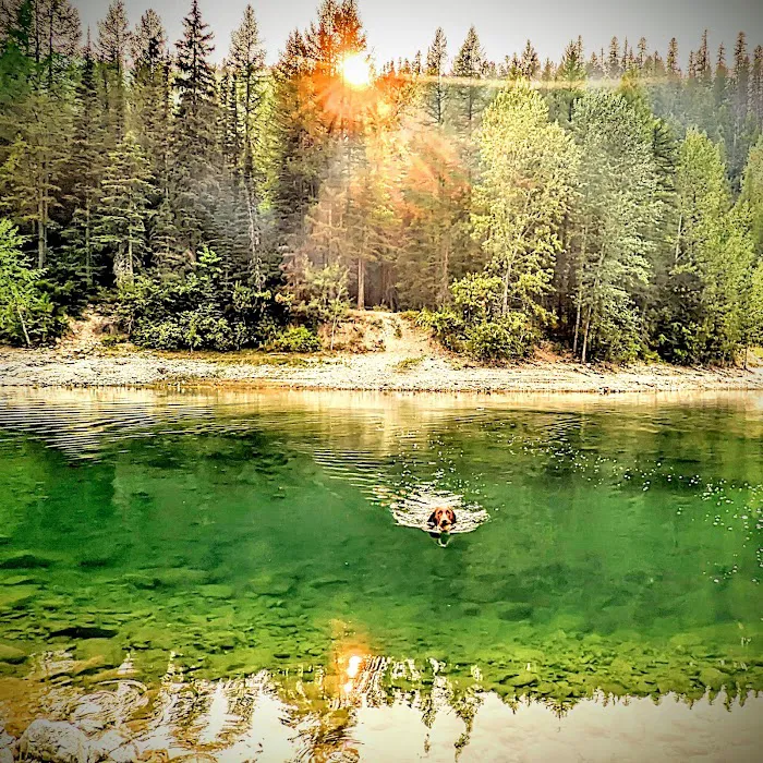 Lost Johnny Campground (recgovnpsdata) Picture 1