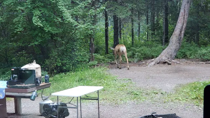 Lost Johnny Campground (recgovnpsdata) Picture 5