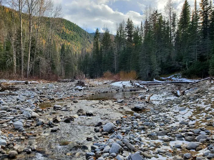 LOST JOHNNY POINT CAMPGROUND Picture 3