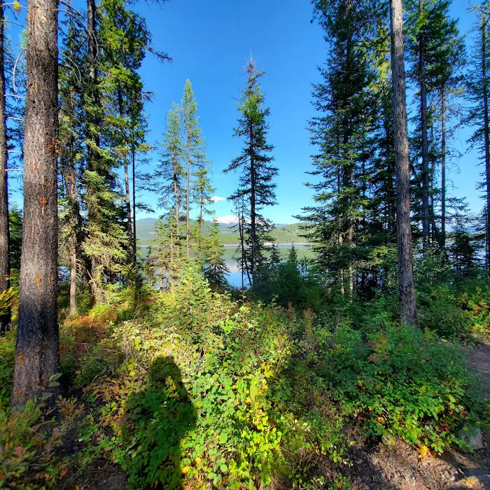 LOST JOHNNY POINT CAMPGROUND Picture 8