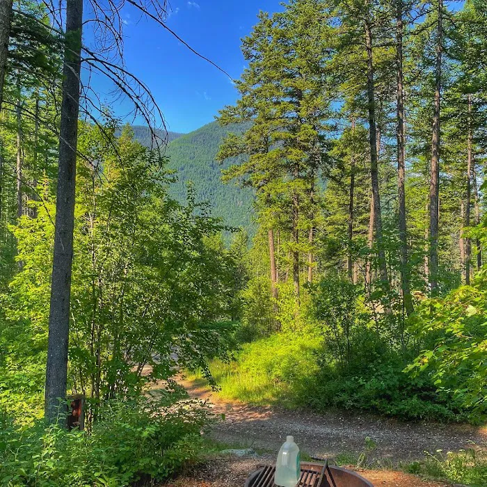 Timber Wolf Resort & Jeep Rentals Picture 3