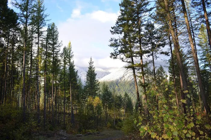 Timber Wolf Resort & Jeep Rentals Picture 7