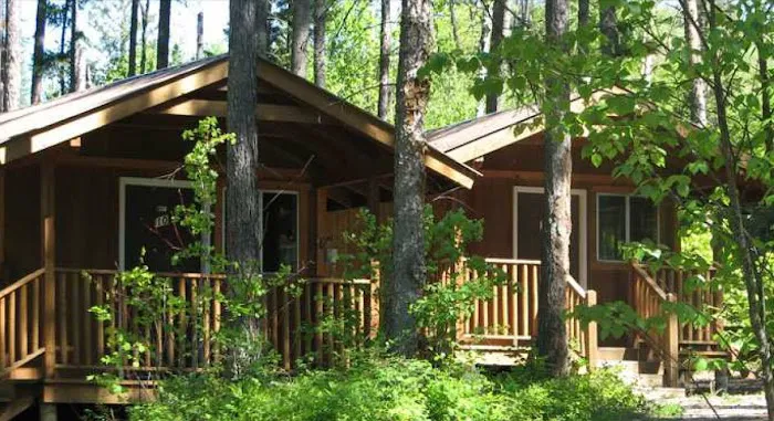 Timber Wolf Resort & Jeep Rentals Picture 6