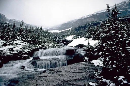 Timber Wolf Resort & Jeep Rentals Picture 9
