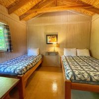 Timber Wolf Resort & Jeep Rentals ico