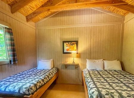 Timber Wolf Resort & Jeep Rentals