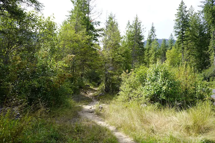 WILDERNESS GATEWAY Picture 2