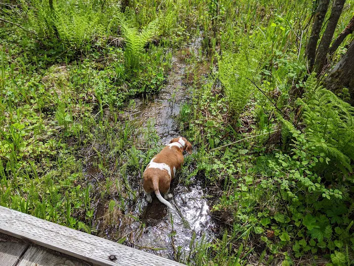 WILDERNESS GATEWAY Picture 4