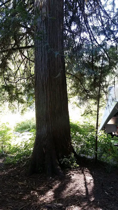 Knife Edge Campground Picture 9