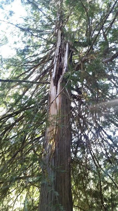 Knife Edge Campground Picture 7