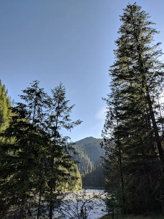 Apgar Campground Picture 2