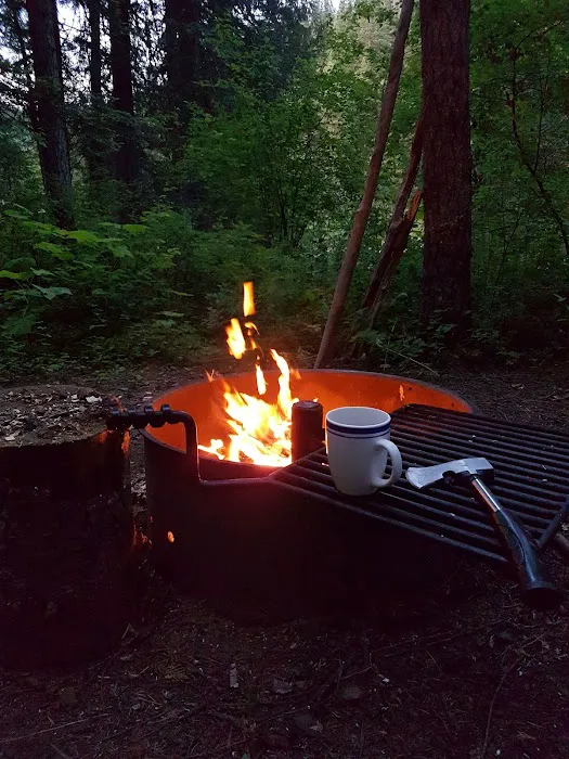 Apgar Campground Picture 10
