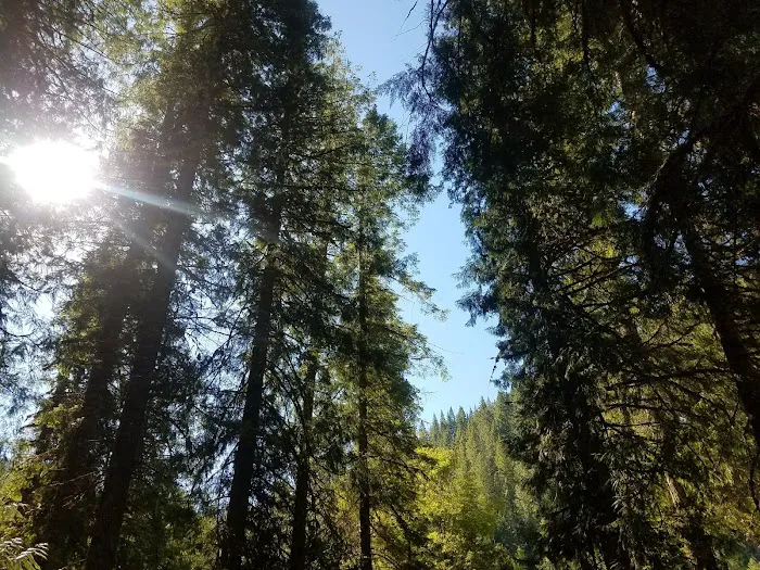 Apgar Campground Picture 8