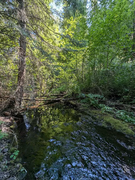 Pataha Campground Picture 1