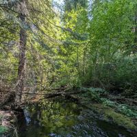 Pataha Campground ico