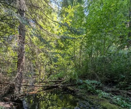 Pataha Campground