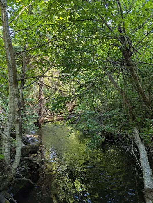 Pataha Campground Picture 2