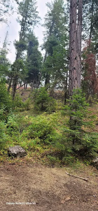 Pataha Campground Picture 4