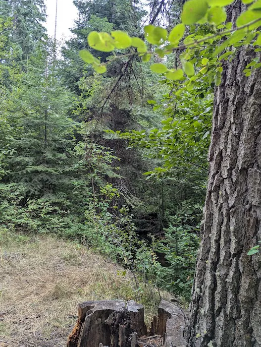 Pataha Campground Picture 9