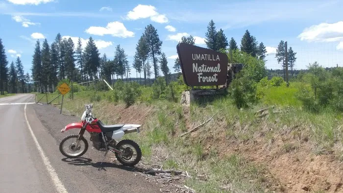 Forest Boundary Campground Picture 1