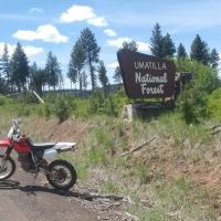 Forest Boundary Campground ico