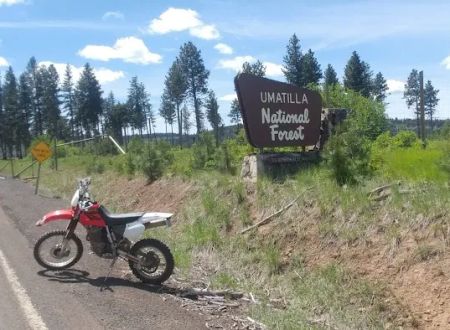 Forest Boundary Campground