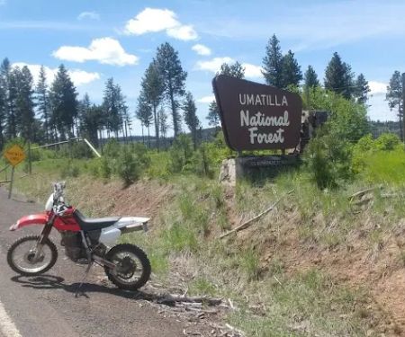 Forest Boundary Campground