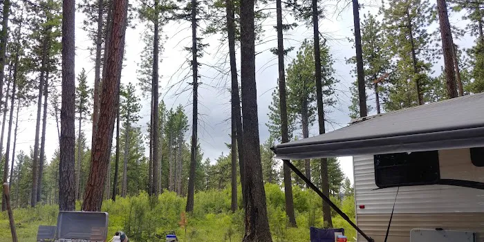 Forest Boundary Campground Picture 9
