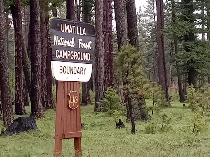 Forest Boundary Campground Picture 8