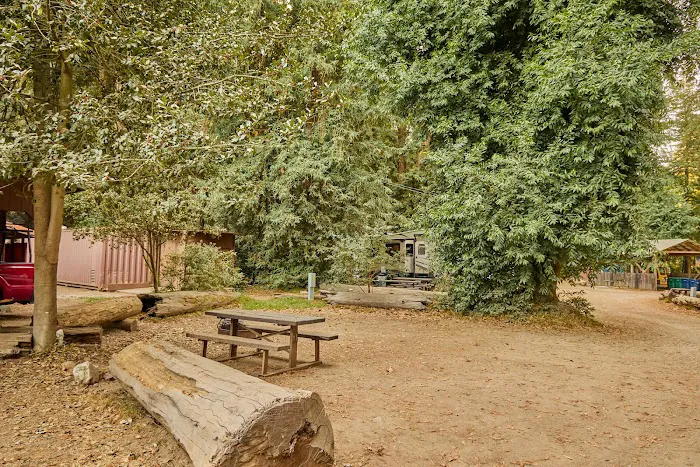 Big Sur Campground and Cabins Picture 6