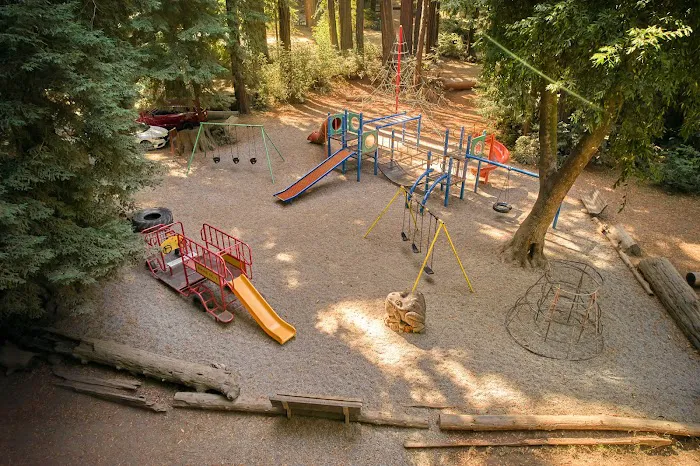 Big Sur Campground and Cabins Picture 4