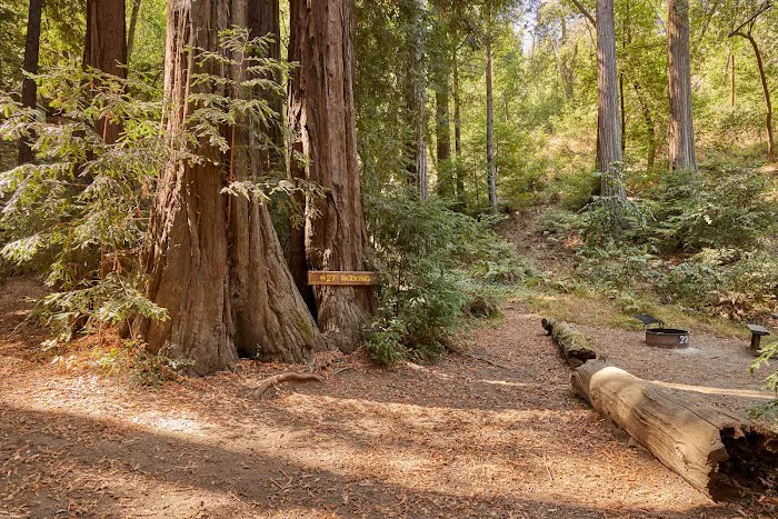 Big Sur Campground and Cabins Picture 7