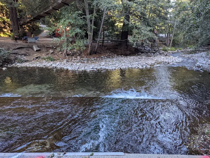 Riverside Campground & Cabins Picture 10