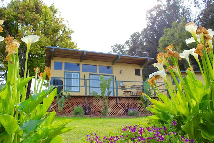 Salinas / Monterey KOA Picture 6