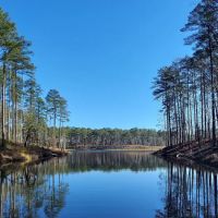 Gum Springs Campground and Picnic Area ico