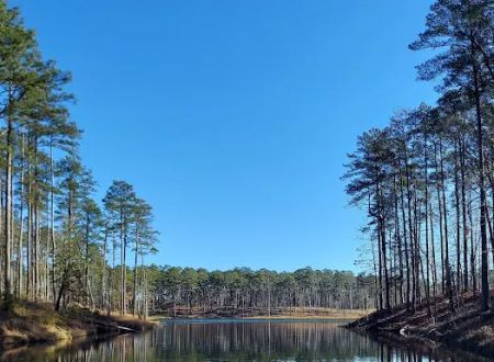 Gum Springs Campground and Picnic Area