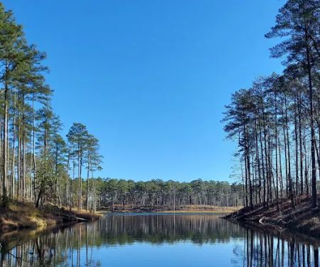 Gum Springs Campground and Picnic Area