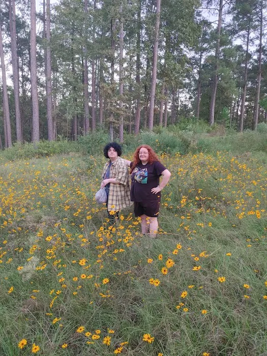 Gum Springs Campground and Picnic Area Picture 8