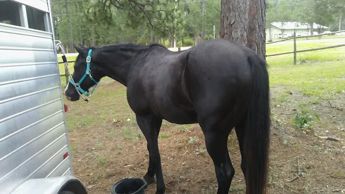 Gum Springs Horse Campground Picture 6