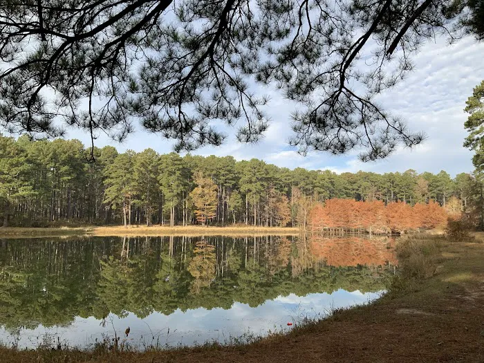 Gum Springs Horse Campground Picture 8