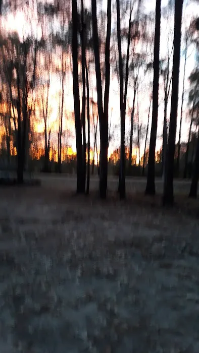 Ahtus Melder Campground Picture 9