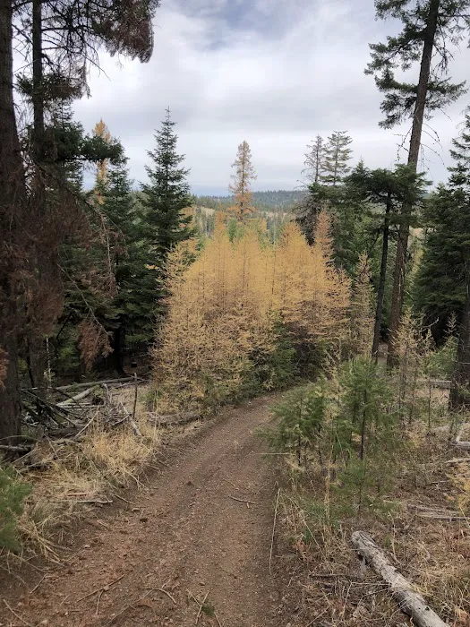 Morrow County OHV Park Picture 5