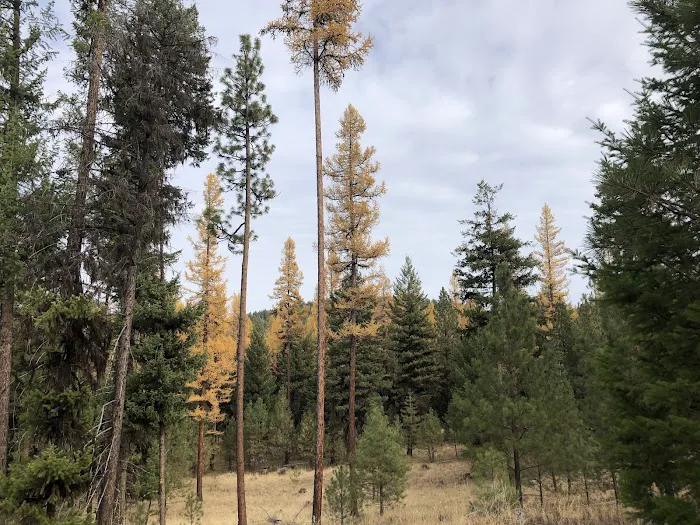 Morrow County OHV Park Picture 6